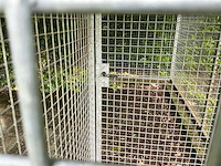 Dierenverblijf zware gegalvaniseerde panelen - afbeelding 4 van  17