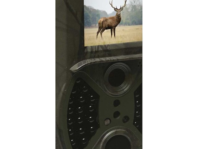 Digitale wildlifecamera. - afbeelding 2 van  3