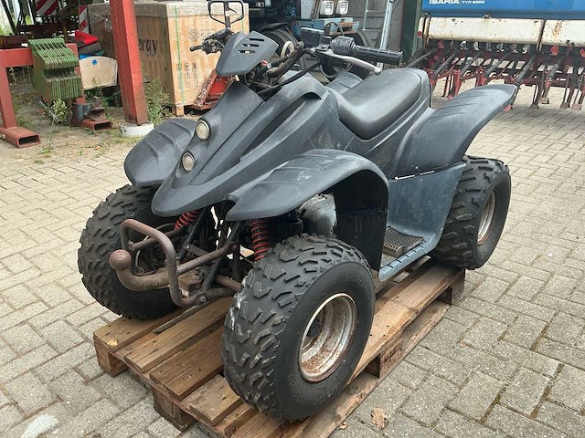 Dinli quad - afbeelding 1 van  23