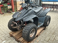 Dinli quad - afbeelding 1 van  23
