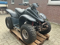 Dinli quad - afbeelding 12 van  23