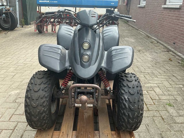 Dinli quad - afbeelding 17 van  23