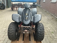 Dinli quad - afbeelding 17 van  23