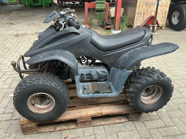 Dinli quad - afbeelding 18 van  23
