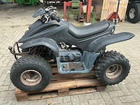 Dinli quad - afbeelding 18 van  23