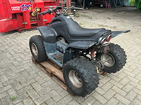 Dinli quad - afbeelding 19 van  23