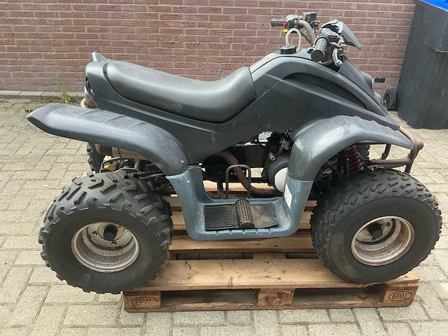 Dinli quad - afbeelding 22 van  23