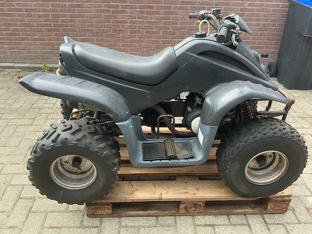 Dinli quad - afbeelding 17 van  18