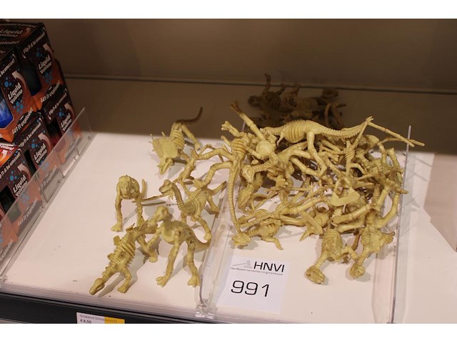 Dinosaurus skeletten in diverse uitvoeringen. - afbeelding 1 van  2