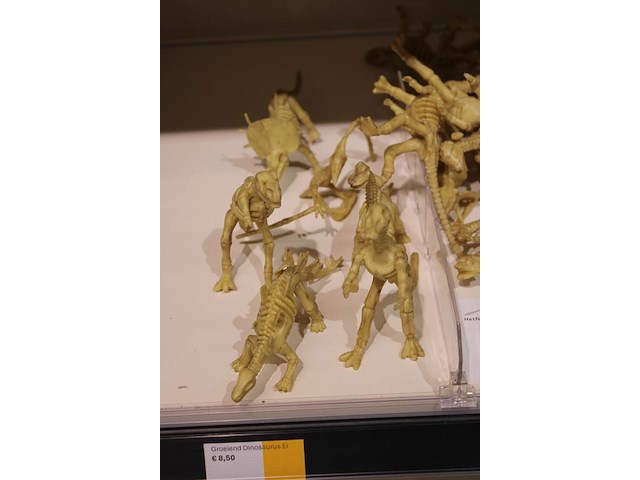 Dinosaurus skeletten in diverse uitvoeringen. - afbeelding 2 van  2