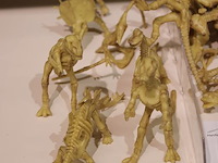 Dinosaurus skeletten in diverse uitvoeringen. - afbeelding 2 van  2
