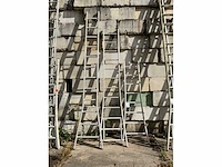 Dirks ladder (3x) - afbeelding 2 van  4