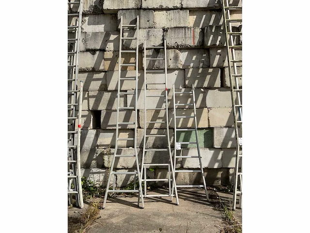Dirks ladder (3x) - afbeelding 2 van  4