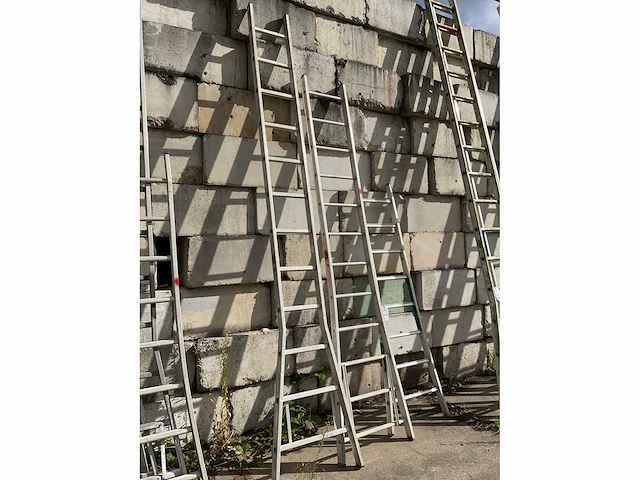 Dirks ladder (3x) - afbeelding 3 van  4