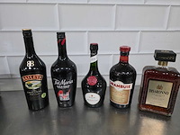 Disaronno, baileys, tia maria, etc. sterke drank fles (5x) - afbeelding 1 van  3