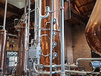 Distilleer ketel / opstelling 500l, müller, aroma 900, 2020 - afbeelding 22 van  39