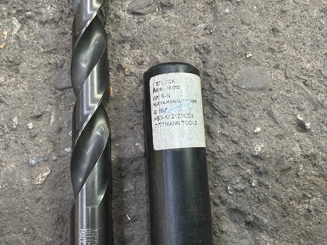 Dittmann en nenok diverse morseconusboren (42x) - afbeelding 17 van  17