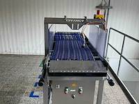 Divardy transportband - afbeelding 5 van  6