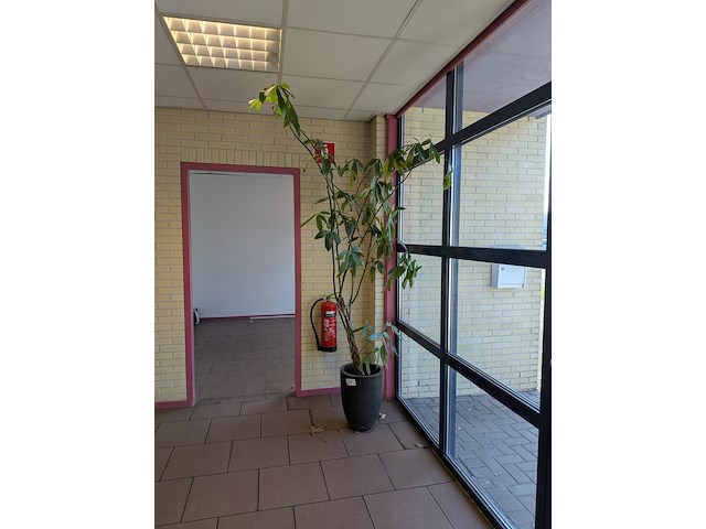 Divers kantoor decoratie - afbeelding 1 van  4