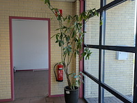 Divers kantoor decoratie - afbeelding 1 van  4