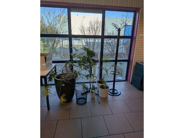 Divers kantoor decoratie - afbeelding 2 van  4