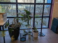 Divers kantoor decoratie - afbeelding 2 van  4