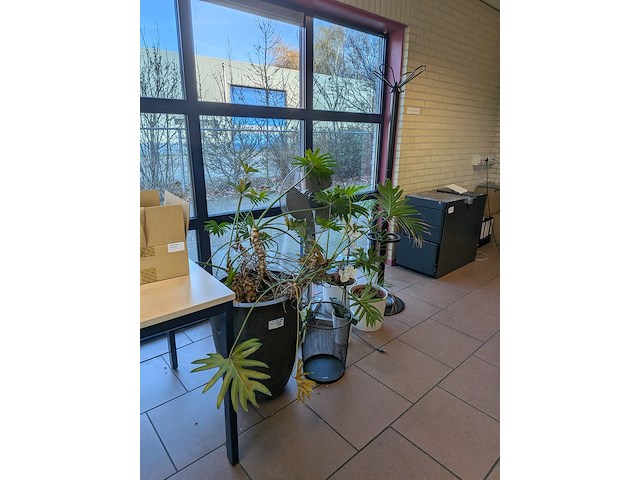 Divers kantoor decoratie - afbeelding 3 van  4