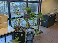 Divers kantoor decoratie - afbeelding 3 van  4