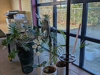 Divers kantoor decoratie - afbeelding 4 van  4