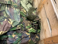 Divers leger legerkleding - afbeelding 6 van  6