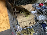 Divers legerondergoed en shirts - afbeelding 2 van  5