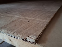 Divers plaatmateriaal - afbeelding 21 van  29