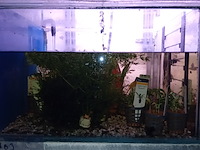 Diverse aquaria - afbeelding 3 van  17