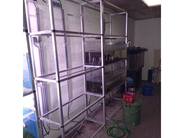 Diverse aquaria - afbeelding 5 van  17