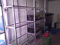 Diverse aquaria - afbeelding 5 van  17