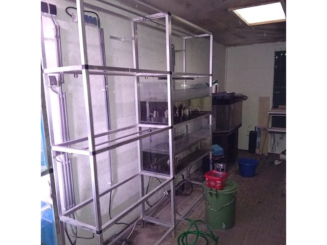 Diverse aquaria - afbeelding 6 van  17