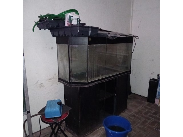 Diverse aquaria - afbeelding 7 van  17