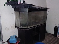 Diverse aquaria - afbeelding 7 van  17