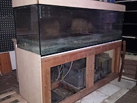 Diverse aquaria - afbeelding 8 van  17