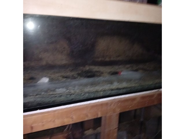 Diverse aquaria - afbeelding 9 van  17