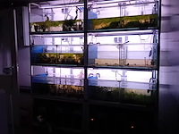 Diverse aquaria - afbeelding 10 van  17