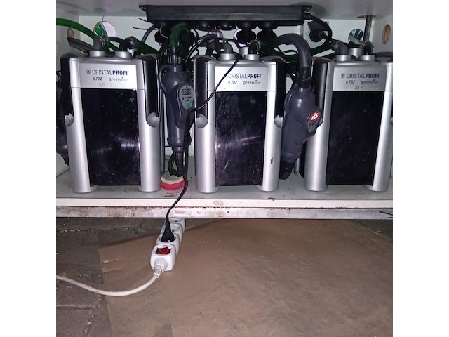 Diverse aquaria - afbeelding 12 van  17