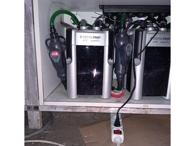 Diverse aquaria - afbeelding 13 van  17