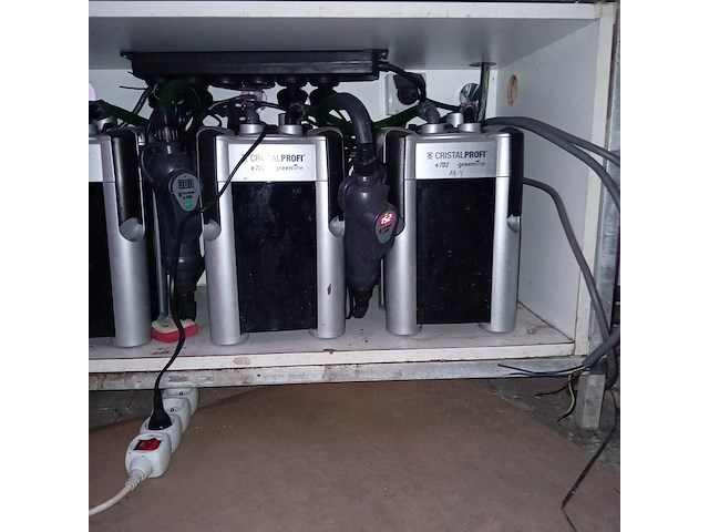 Diverse aquaria - afbeelding 14 van  17