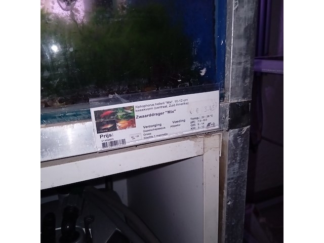 Diverse aquaria - afbeelding 17 van  17