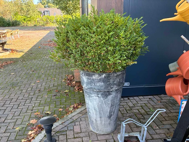 Diverse bloempotten (14x) - afbeelding 10 van  14