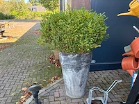 Diverse bloempotten (14x) - afbeelding 10 van  14