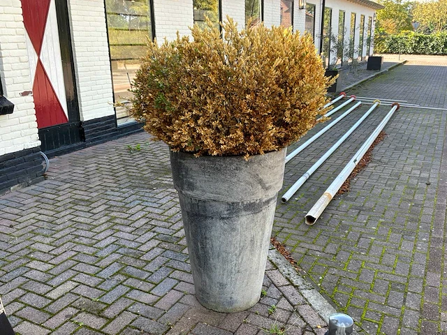 Diverse bloempotten (14x) - afbeelding 11 van  14