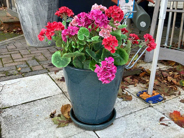 Diverse bloempotten (14x) - afbeelding 13 van  14