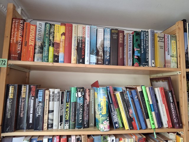 Diverse boeken - afbeelding kan wat afwijken - afbeelding 1 van  3